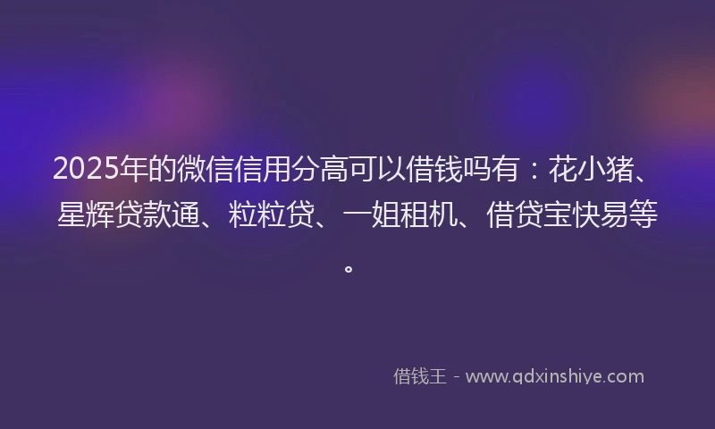 2025年的微信信用分高可以借钱吗有：花小猪、星辉贷款通、粒粒贷、一姐租机、借贷宝快易等。