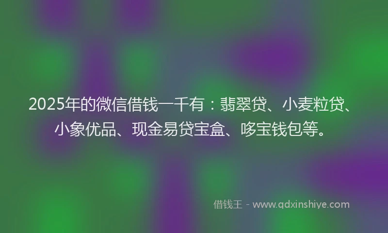2025年的微信借钱一千有：翡翠贷、小麦粒贷、小象优品、现金易贷宝盒、哆宝钱包等。