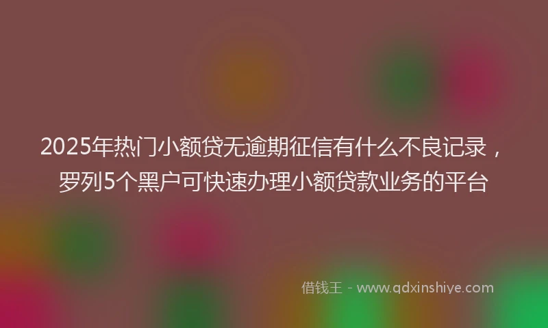 2025年热门小额贷无逾期征信有什么不良记录，罗列5个黑户可快速办理小额贷款业务的平台