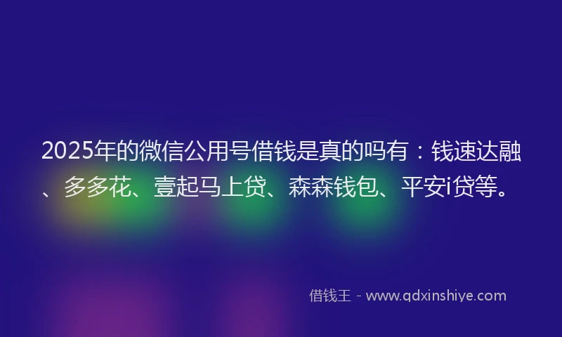 2025年的微信公用号借钱是真的吗有：钱速达融、多多花、壹起马上贷、森森钱包、平安i贷等。