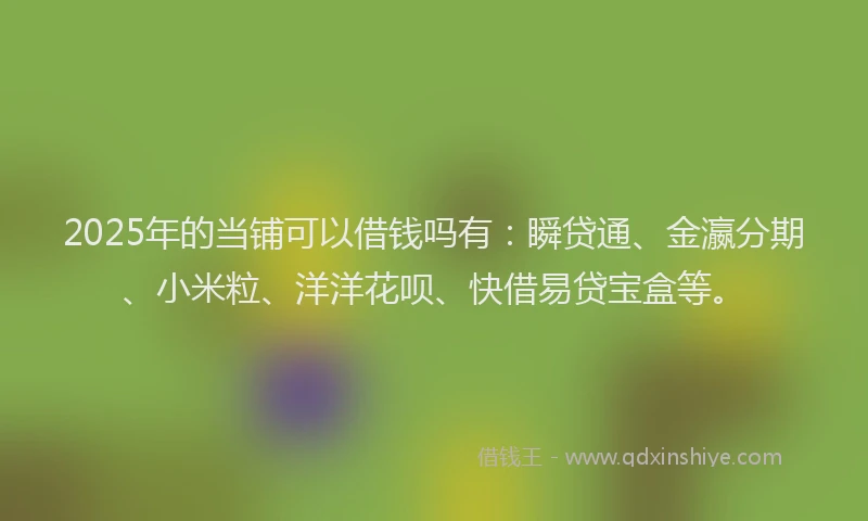 2025年的当铺可以借钱吗有：瞬贷通、金瀛分期、小米粒、洋洋花呗、快借易贷宝盒等。