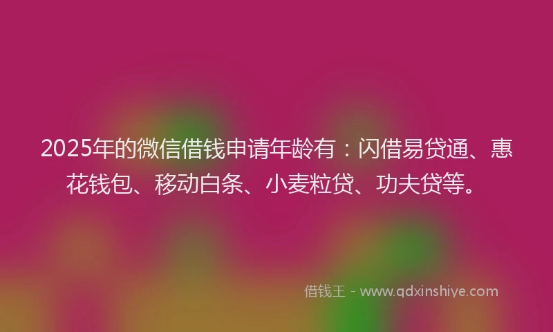 2025年的微信借钱申请年龄有：闪借易贷通、惠花钱包、移动白条、小麦粒贷、功夫贷等。