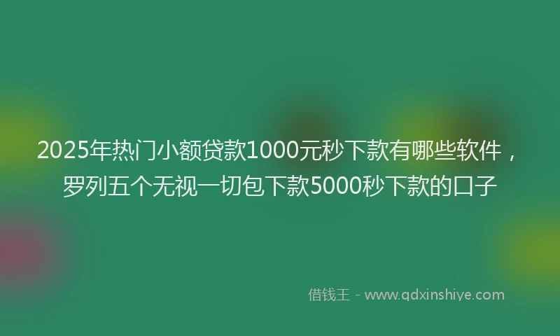 2025年热门小额贷款1000元秒下款有哪些软件，罗列五个无视一切包下款5000秒下款的口子