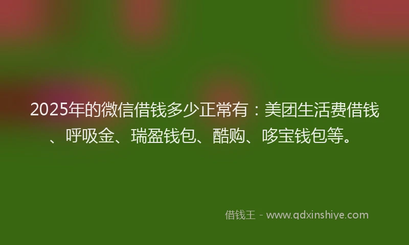 2025年的微信借钱多少正常有：美团生活费借钱、呼吸金、瑞盈钱包、酷购、哆宝钱包等。