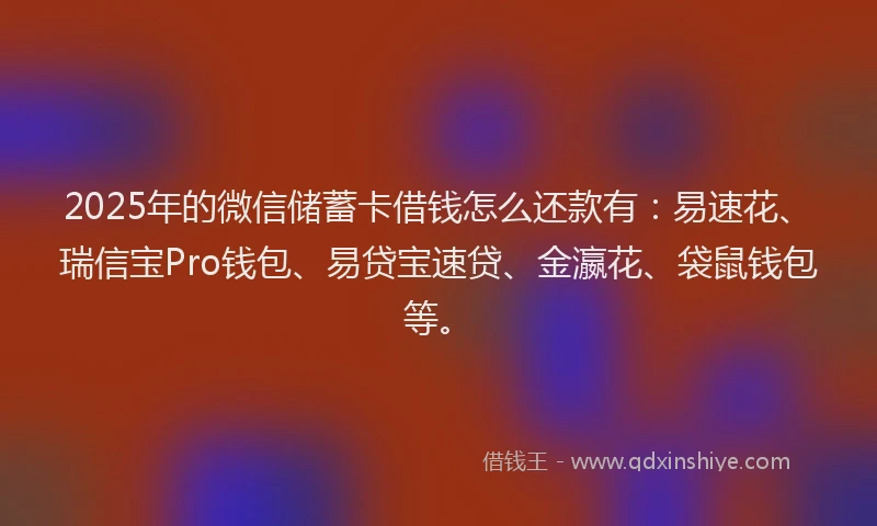 2025年的微信储蓄卡借钱怎么还款有：易速花、瑞信宝Pro钱包、易贷宝速贷、金瀛花、袋鼠钱包等。
