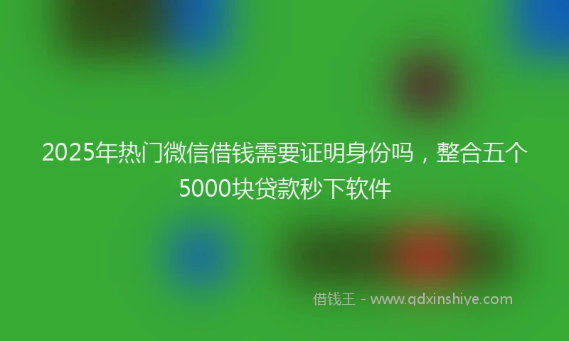 2025年热门微信借钱需要证明身份吗，整合五个5000块贷款秒下软件
