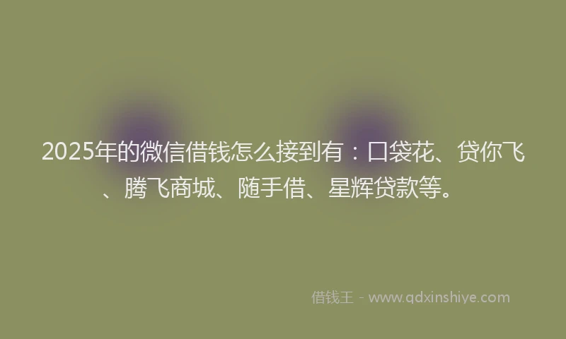 2025年的微信借钱怎么接到有：口袋花、贷你飞、腾飞商城、随手借、星辉贷款等。