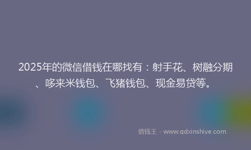 2025年的微信借钱在哪找有：射手花、树融分期、哆来米钱包、飞猪钱包、现金易贷等。
