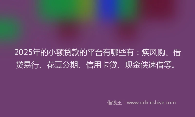 2025年的小额贷款的平台有哪些有：疾风购、借贷易行、花豆分期、信用卡贷、现金侠速借等。