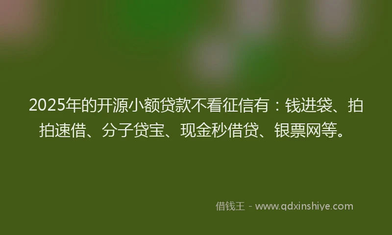 2025年的开源小额贷款不看征信有：钱进袋、拍拍速借、分子贷宝、现金秒借贷、银票网等。