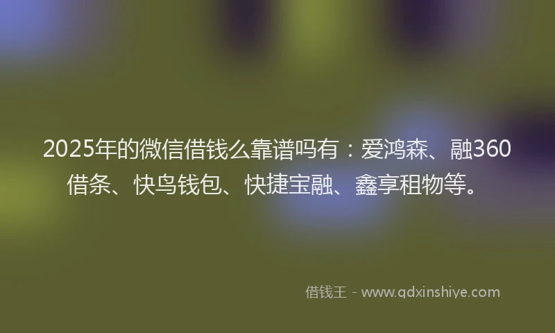 2025年的微信借钱么靠谱吗有：爱鸿森、融360借条、快鸟钱包、快捷宝融、鑫享租物等。