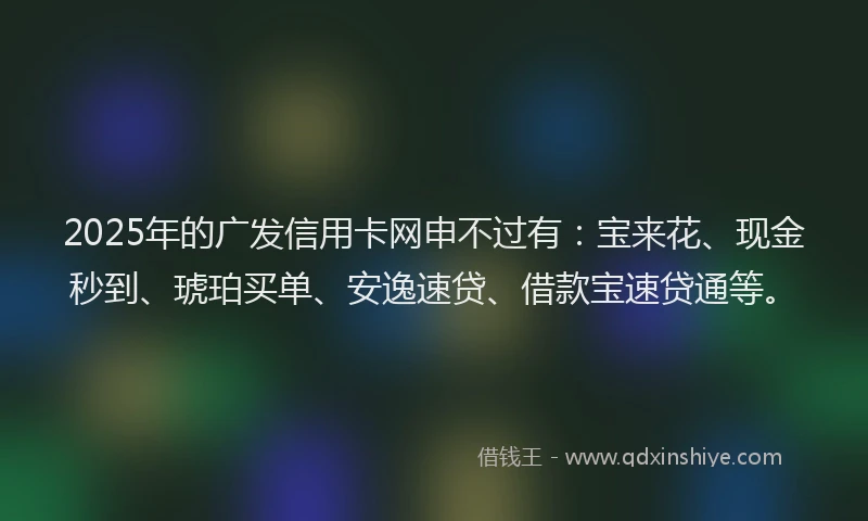 2025年的广发信用卡网申不过有：宝来花、现金秒到、琥珀买单、安逸速贷、借款宝速贷通等。