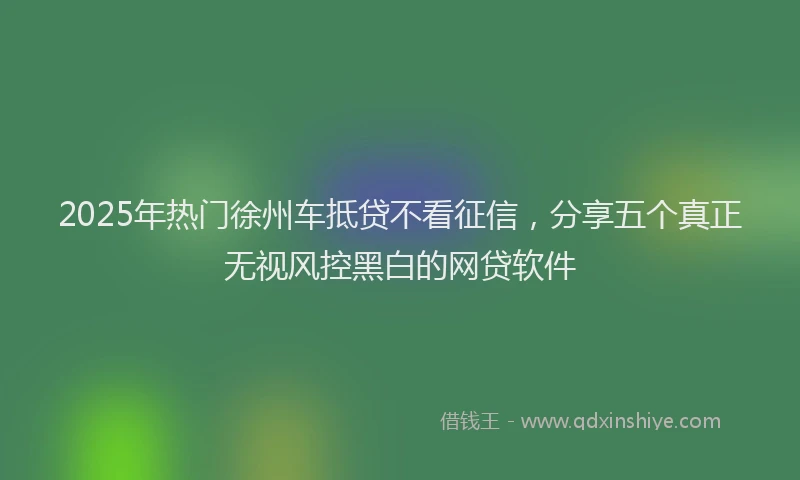 2025年热门徐州车抵贷不看征信，分享五个真正无视风控黑白的网贷软件