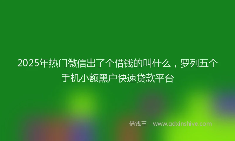 2025年热门微信出了个借钱的叫什么，罗列五个手机小额黑户快速贷款平台
