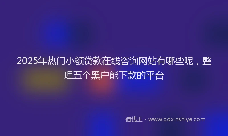 2025年热门小额贷款在线咨询网站有哪些呢，整理五个黑户能下款的平台