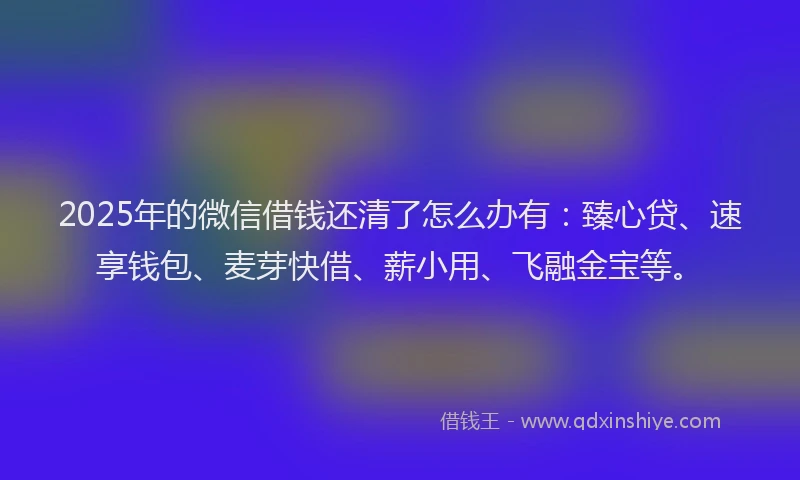 2025年的微信借钱还清了怎么办有：臻心贷、速享钱包、麦芽快借、薪小用、飞融金宝等。