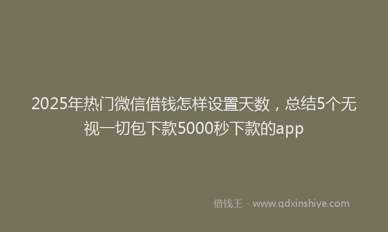 2025年热门微信借钱怎样设置天数,总结5个无视一切包下款5000秒下款的app