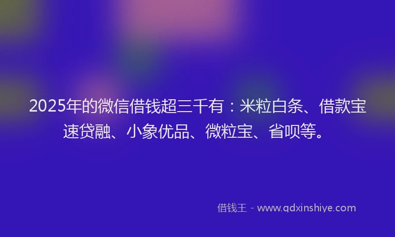 2025年的微信借钱超三千有：米粒白条、借款宝速贷融、小象优品、微粒宝、省呗等。