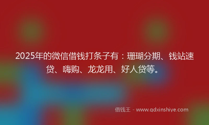 2025年的微信借钱打条子有:珊瑚分期、钱站速贷、嗨购、龙龙用、好人贷等。