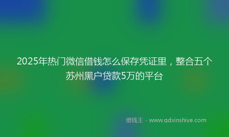 2025年热门微信借钱怎么保存凭证里，整合五个苏州黑户贷款5万的平台
