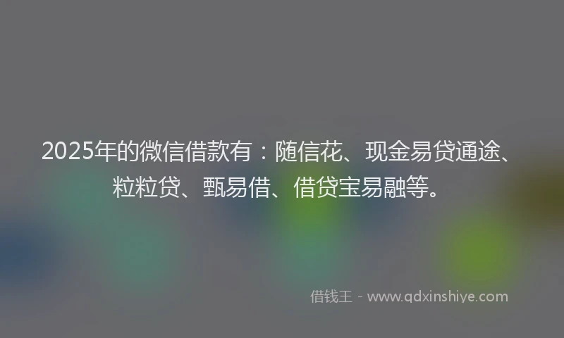 2025年的微信借款有：随信花、现金易贷通途、粒粒贷、甄易借、借贷宝易融等。