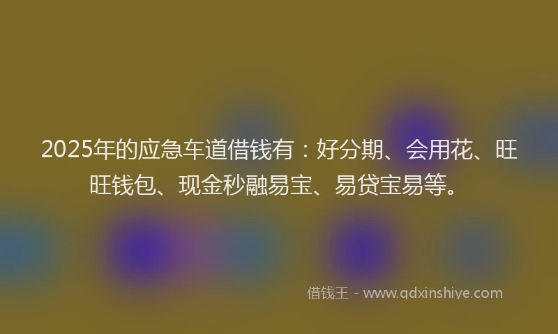 2025年的应急车道借钱有：好分期、会用花、旺旺钱包、现金秒融易宝、易贷宝易等。