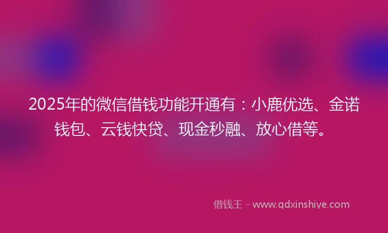 2025年的微信借钱功能开通有:小鹿优选、金诺钱包、云钱快贷、现金秒融、放心借等。