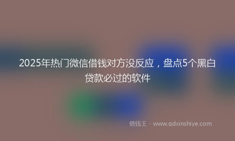 2025年热门微信借钱对方没反应，盘点5个黑白贷款必过的软件
