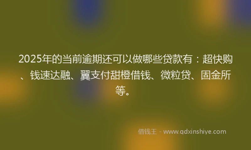 2025年的当前逾期还可以做哪些贷款有：超快购、钱速达融、翼支付甜橙借钱、微粒贷、固金所等。
