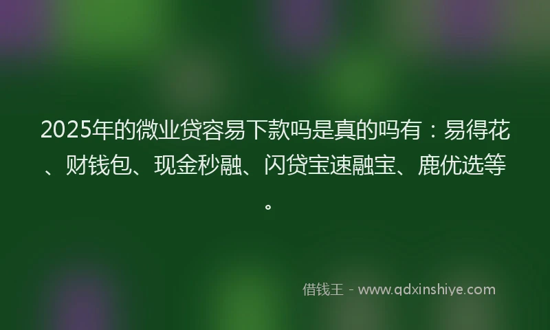 2025年的微业贷容易下款吗是真的吗有：易得花、财钱包、现金秒融、闪贷宝速融宝、鹿优选等。