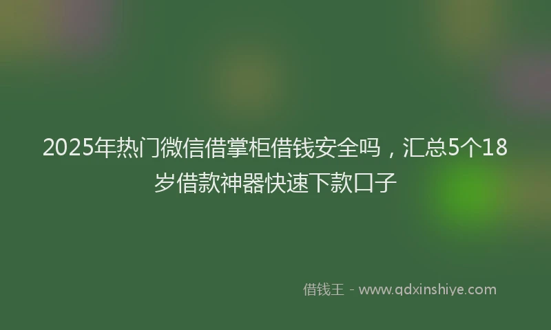 2025年热门微信借掌柜借钱安全吗，汇总5个18岁借款神器快速下款口子