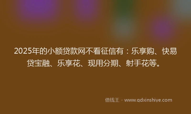 2025年的小额贷款网不看征信有：乐享购、快易贷宝融、乐享花、现用分期、射手花等。