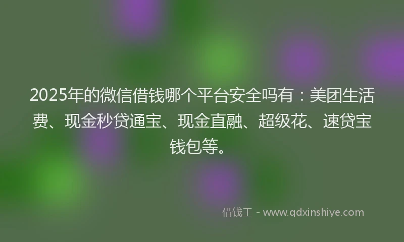 2025年的微信借钱哪个平台安全吗有：美团生活费、现金秒贷通宝、现金直融、超级花、速贷宝钱包等。