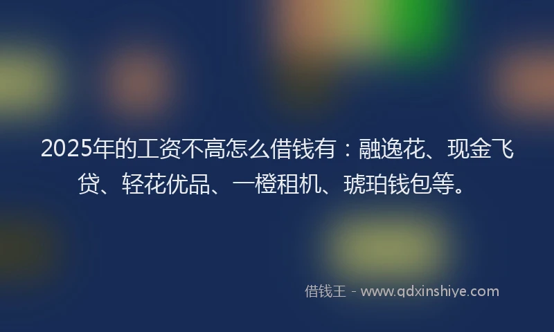 2025年的工资不高怎么借钱有：融逸花、现金飞贷、轻花优品、一橙租机、琥珀钱包等。