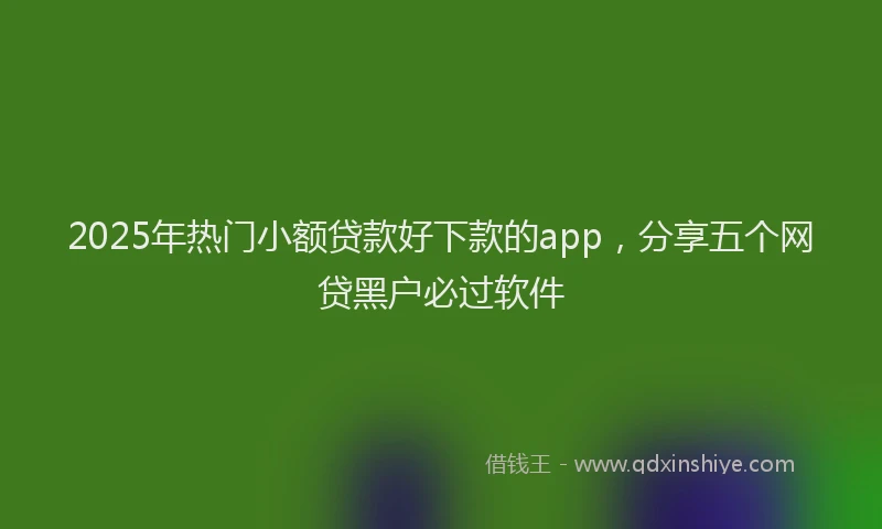 2025年热门小额贷款好下款的app,分享五个网贷黑户必过软件