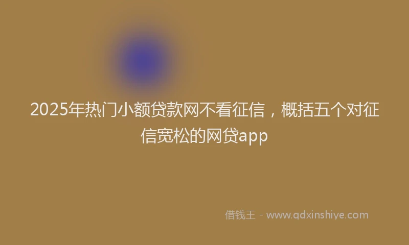 2025年热门小额贷款网不看征信，概括五个对征信宽松的网贷app