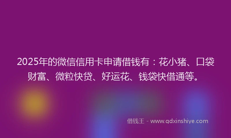 2025年的微信信用卡申请借钱有：花小猪、口袋财富、微粒快贷、好运花、钱袋快借通等。
