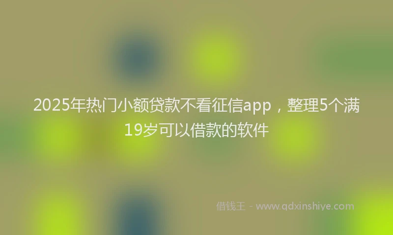2025年热门小额贷款不看征信app，整理5个满19岁可以借款的软件