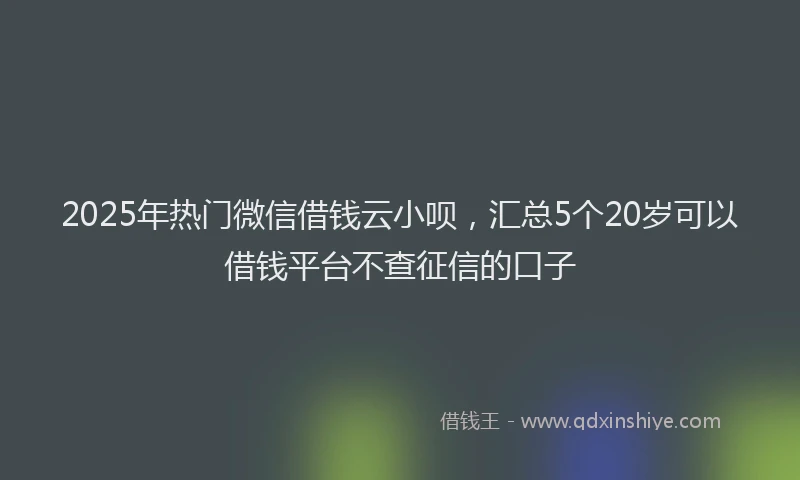 2025年热门微信借钱云小呗，汇总5个20岁可以借钱平台不查征信的口子
