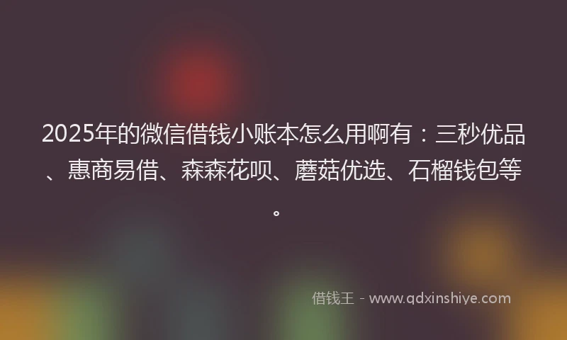 2025年的微信借钱小账本怎么用啊有：三秒优品、惠商易借、森森花呗、蘑菇优选、石榴钱包等。
