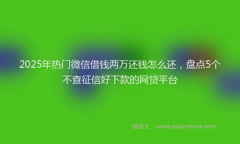 2025年热门微信借钱两万还钱怎么还，盘点5个不查征信好下款的网贷平台