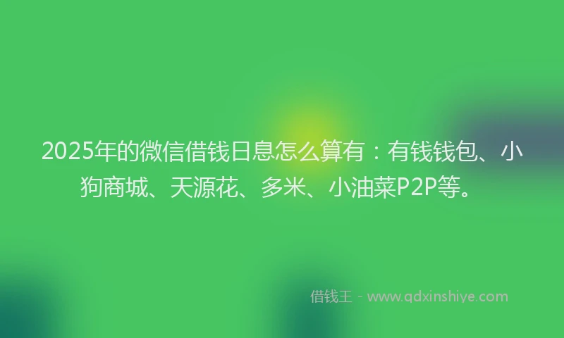 2025年的微信借钱日息怎么算有：有钱钱包、小狗商城、天源花、多米、小油菜P2P等。