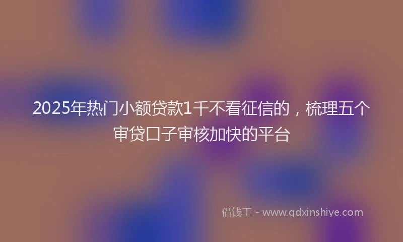 2025年热门小额贷款1千不看征信的，梳理五个审贷口子审核加快的平台