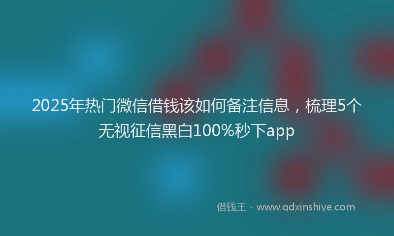 2025年热门微信借钱该如何备注信息，梳理5个无视征信黑白100%秒下app