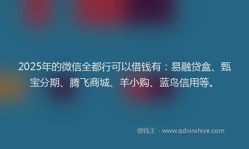 2025年的微信全都行可以借钱有：易融贷盒、甄宝分期、腾飞商城、羊小购、蓝鸟信用等。
