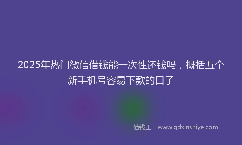 2025年热门微信借钱能一次性还钱吗，概括五个新手机号容易下款的口子