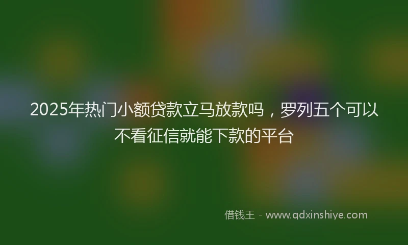 2025年热门小额贷款立马放款吗，罗列五个可以不看征信就能下款的平台