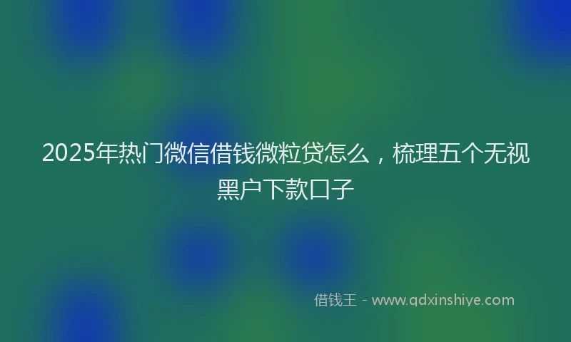 2025年热门微信借钱微粒贷怎么，梳理五个无视黑户下款口子