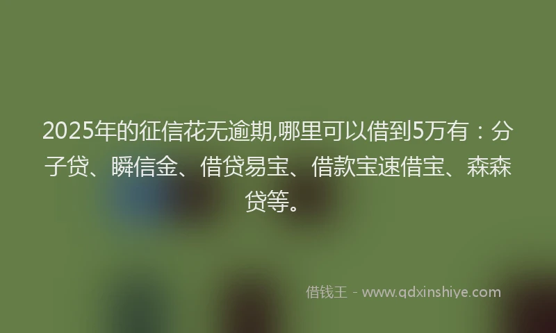 2025年的征信花无逾期,哪里可以借到5万有：分子贷、瞬信金、借贷易宝、借款宝速借宝、森森贷等。