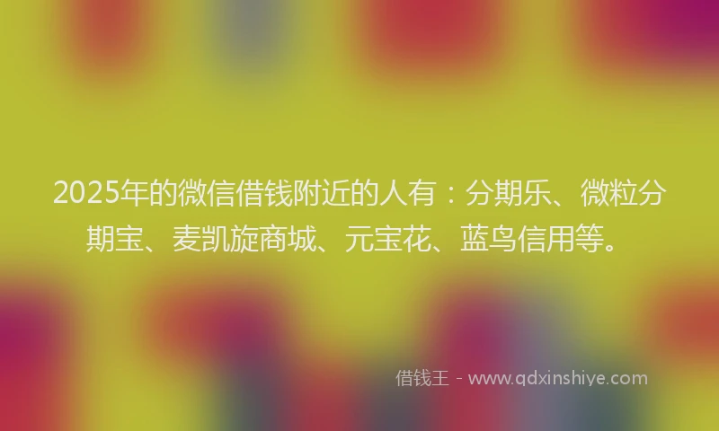 2025年的微信借钱附近的人有：分期乐、微粒分期宝、麦凯旋商城、元宝花、蓝鸟信用等。